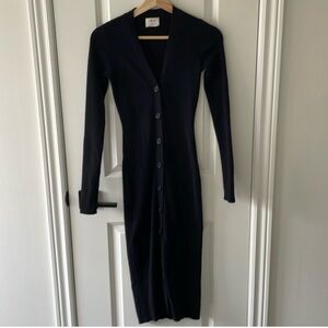 Aritzia (Wilfred) Button Down Sweater Dress